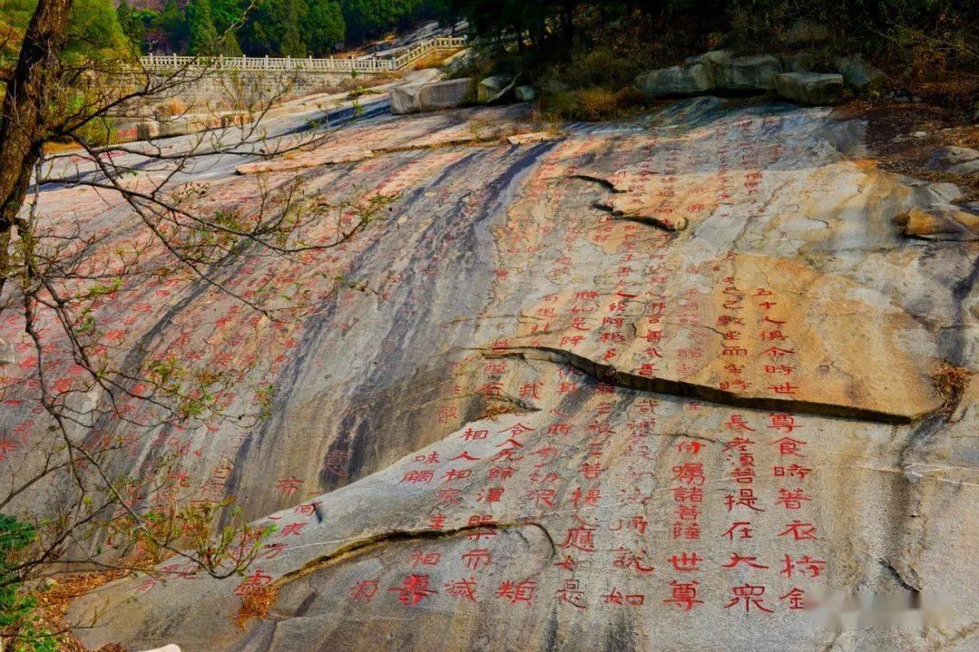 时尚可爱的准妈妈